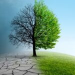 Climate Change in Canada Challenges and Solutions